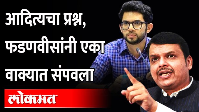 आदित्य ठाकरे आणि संजय राऊतांना फडणवीसांनी असं उत्तर दिलं Fadnavis on Sanjay Raut & Aditya Thackeray