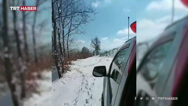 Gölette donmak üzere olan köpek kurtarıldı