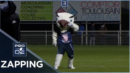 PRO D2 – Le Zapping de la J24 – Saison 2021-2022