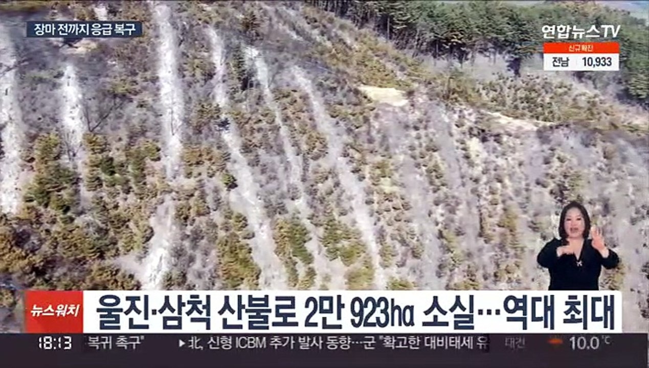 '화마 피해' 산림 복원 어떻게?…장마 전까지 응급 복구