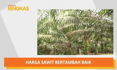 Скачать видео: AWANI Ringkas: Rosmah perlu isytihar harta & harga sawit bertambah baik