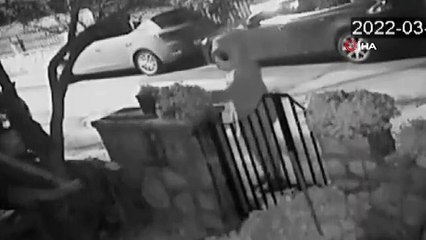 Çiçek hırsızı kadın, güvenlik kamerasına yakalandı