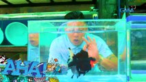 AHA!: Ang AHA-mazing abilities ng mga goldfish!