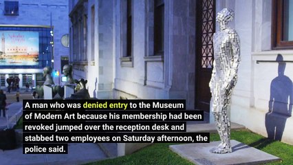 MoMA Patron Denied Entry Stabs Two Employees