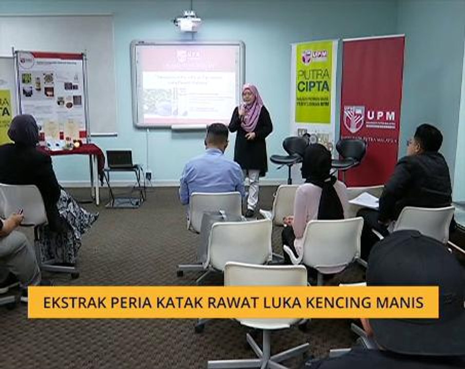 Ekstrak peria katak rawat luka kencing manis