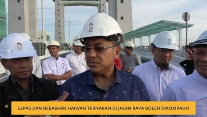 Lepas dan bebaskan haiwan ternakan di jalan raya boleh dikompaun