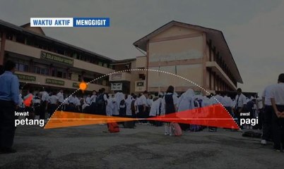 Health Matters: Dengue - Killing us Softly