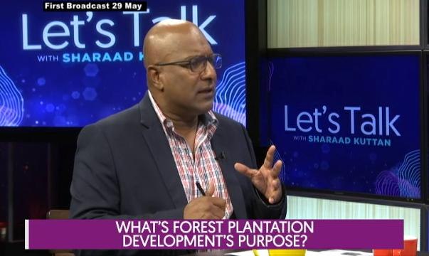 Let's Talk: What's Forest Plantation Development's Purpose?