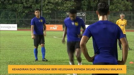 Kehadiran dua tonggak beri kelegaan kepada skuad Harimau Malaya
