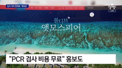 “신혼여행 하와이로”…해외입국자 격리 면제에 여행사 ‘활기’