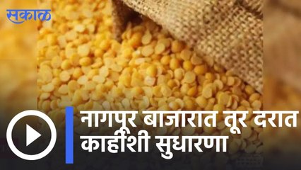 Tur Market Rate | नागपूर बाजारात तूर दरात काहीशी सुधारणा | Sakal |