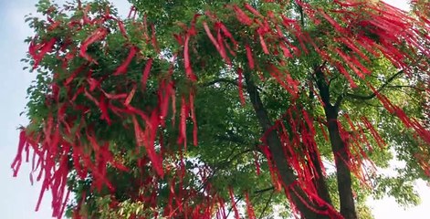 The Rational Life S01 E25