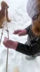 Pup Takes Little Tyke Down Snowy Slope