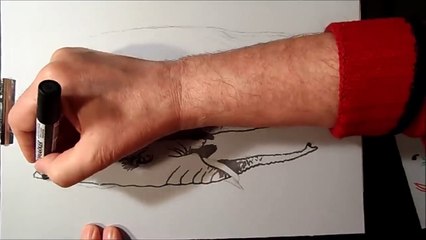 Fantasztikus 3D rajzok - csodálatos állatok - menő trükk művészet