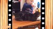 Recopilaciones de Momentos Divertidos de Bebés con Mascotas,Momentos de Risa(Mianoum TV Canal de Youtube) / Funny moments compilations of babies with pets