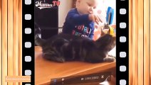 Recopilaciones de Momentos Divertidos de Bebés con Mascotas,Momentos de Risa(Mianoum TV Canal de Youtube) / Funny moments compilations of babies with pets