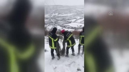 Son dakika haber... İtfaiye ekipleri uçuruma düşen keçiyi 6 saatte kurtardı