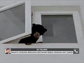 Wanita kurung beruang matahari bebas dengan ikat jamin