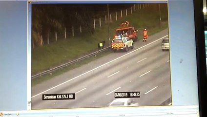 Lembu pun nak balik kampung guna lebuh raya?