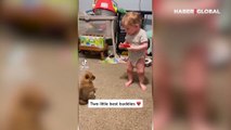Yavru köpeğine mızıka çalan bebek izleyenleri gülümsetti