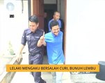 Lelaki mengaku bersalah curi, bunuh lembu