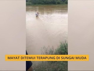 Mayat ditemui terapung di Sungai Muda