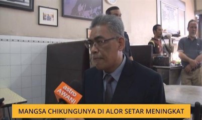 Mangsa Chikungunya di Alor Setar meningkat