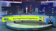 Kota Tangerang Selatan Dilanda Hujan Es Yang Disertai Angin Kencang, Pohon Tumbang Dan Timpa Warung!