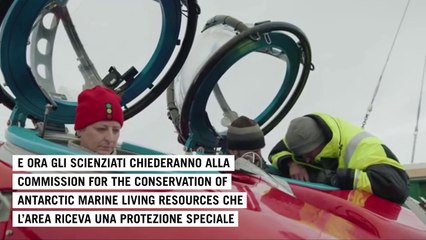 I coralli dell'Antartide filmati per la prima volta