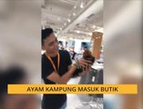 #Bualan 27 Jun: Ayam kampung masuk butik