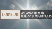 Khabar Dari Terengganu: Ancaman haiwan berbisa di musim panas