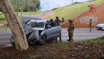 Motorista cochila, perde o controle do carro e bate em árvore