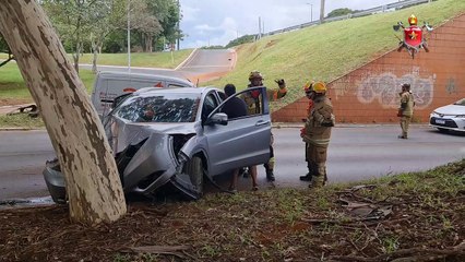 Motorista cochila, perde o controle do carro e bate em árvore