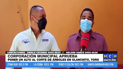 Corporación Municipal aprueba poner un alto al corte de árboles en Olanchito, Yoro