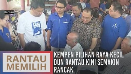 Kempen Pilihan Raya Kecil DUN Rantau kini semakin rancak