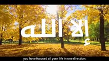 الإعتصام بالله  الخروج من المشاكل - من روائع النابلسي Feeling Content with Allah