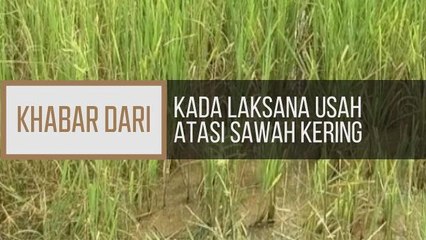 Khabar Dari Kelantan: KADA laksana usaha atasi sawah kering