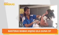 AWANI Ringkas: Isi kekosongan susulan penahanan anggota, RCI Wang Kelian & banteras wabak anjing gila