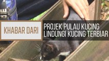 Khabar Dari Pahang: Projek Pulau Kucing lindungi kucing terbiar