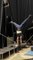 Guy Performs Walking Handstand On Slackline