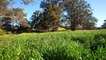 'Chester Hill', a 100-acre property at Berry sells to Sydney buyer/Real Estate View/March 2022