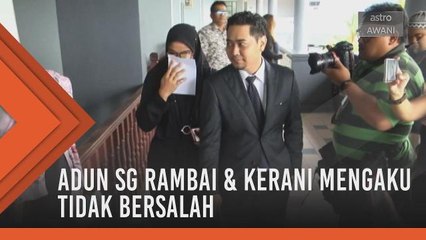 Seleweng DANA: ADUN Sg Rambai & kerani mengaku tidak bersalah