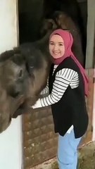 Viral Video short trending viral tiktok