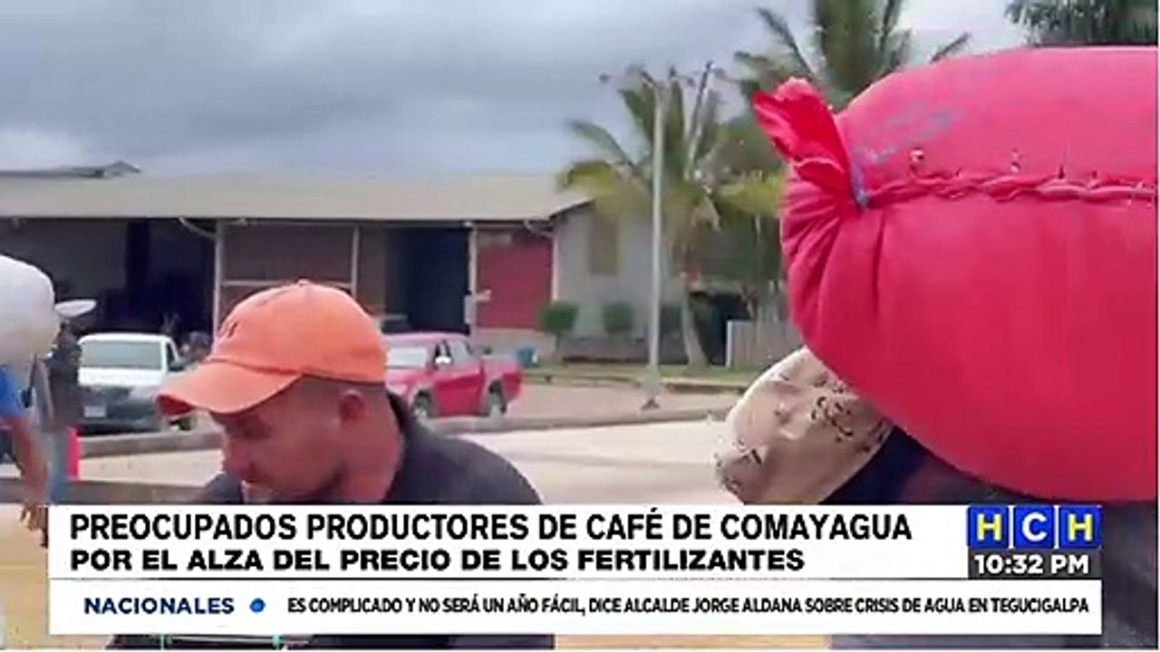 Productores de café preocupados por alza en precio de fertilizantes