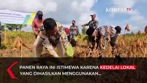 Peneliti dari UGM Terapkan Smart Agriculture Enterprise untuk Hasil Panen Kedelai yang Melimpah