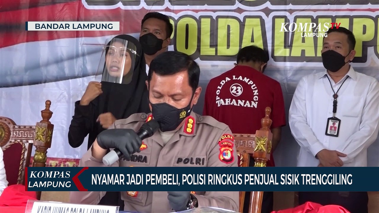 Nyamar Jadi Pembeli, Polisi Ringkus Penjual Sisik Trenggiling
