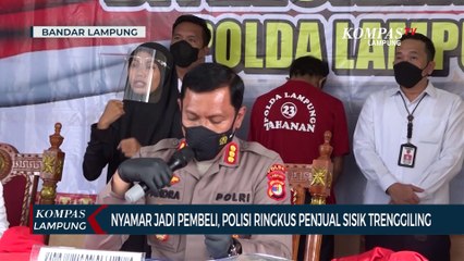 Nyamar Jadi Pembeli, Polisi Ringkus Penjual Sisik Trenggiling