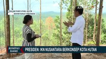 Jawab Kritik Soal Pembukaan Hutan untuk Pembangunan IKN, Jokowi: IKN berkonsep Kota Hutan!