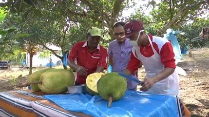 Ikon Agro: Pertanian adalah perniagaan