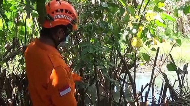 Viral Buaya Muara di Sungai Brantas Resahkan Warga Kediri